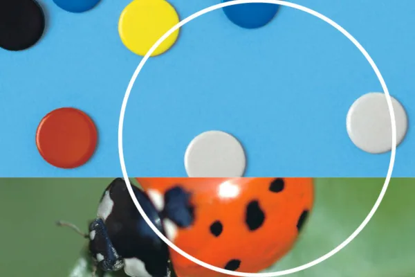 Teaser schweizer zahlenbuch 1 6 klett und balmer